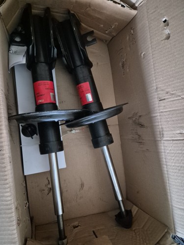 Trw gasdruck stoßdämpfer - 2x,
